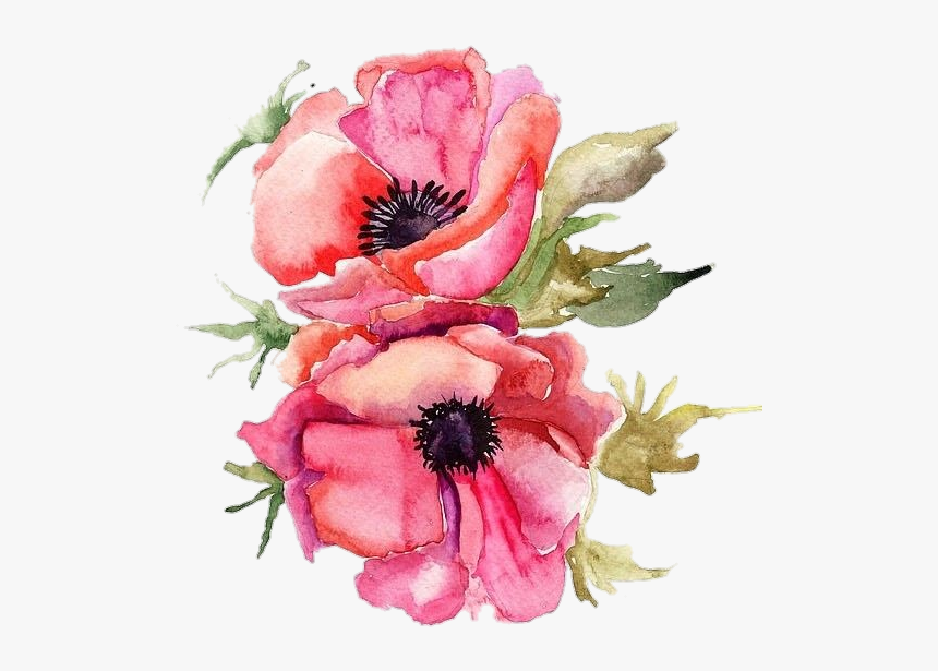 #vertical #poppy #pngstickers #png #watercolor #illustration - Pink Poppy Flowers Png, Transparent Png
