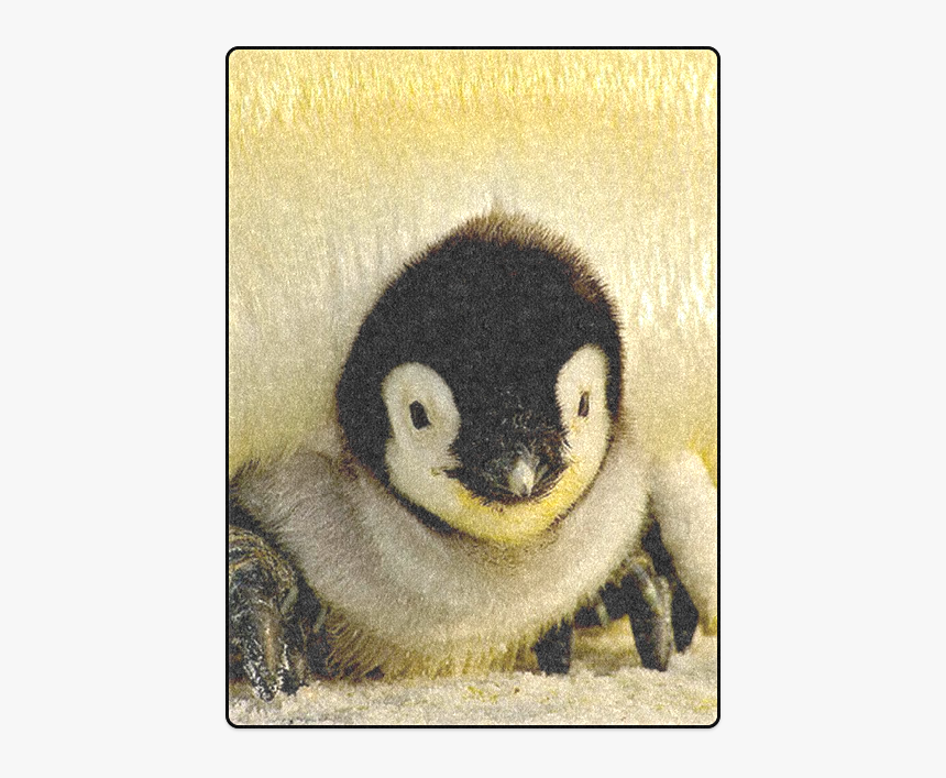 Baby Penguin Blanket 58 X80 - Comment Les Pingouin Se Reconnaissent, HD Png Download