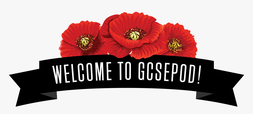 Transparent Poppy Flower Png - Emre Kongar, Png Download