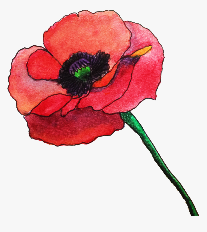 R 1805233972, Picture V - Red Flower Watercolor Transparent, HD Png Download