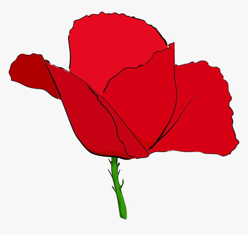 Red Poppy Clip Arts - Poppy, HD Png Download