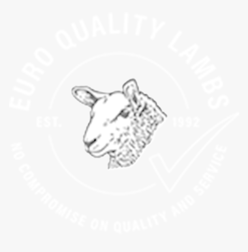 Eql-w - Sheep, HD Png Download