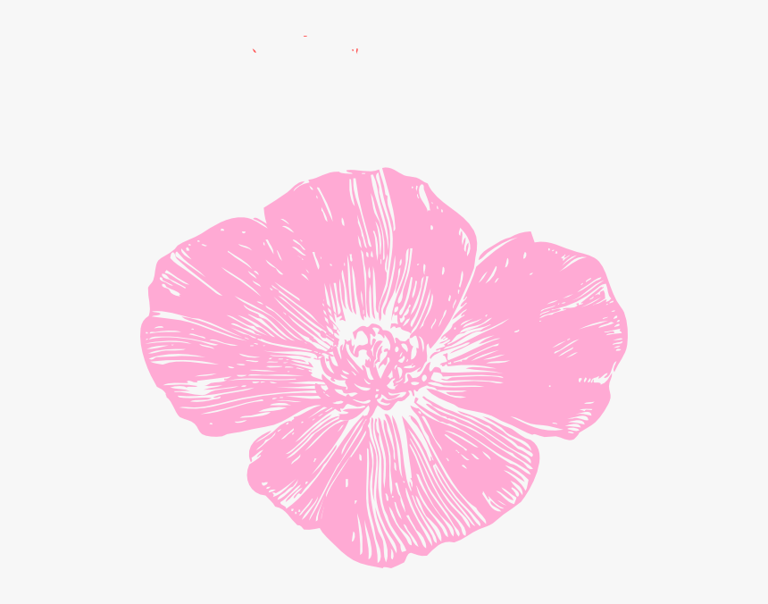 Golden Poppy Clip Art, HD Png Download