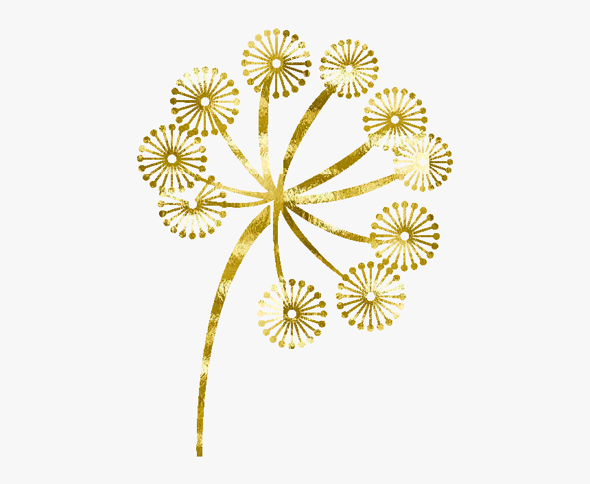 Floral Design, HD Png Download