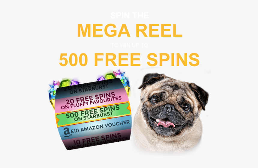 Pug, HD Png Download