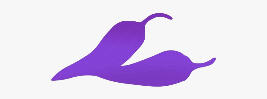 Chili Png, Transparent Chili Vector - Illustration, Png Download