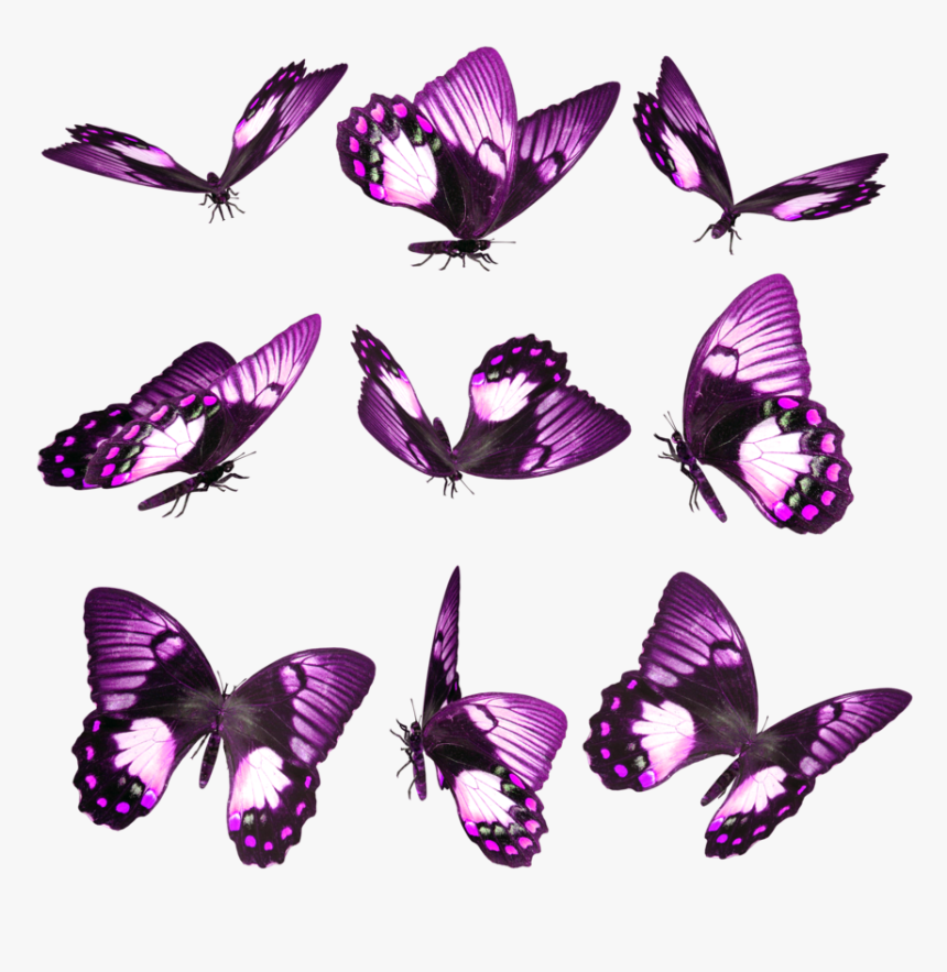Purple Butterfly On Finger, HD Png Download