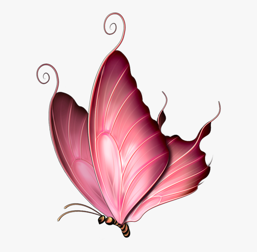 Pink Butterfly Images Png, Transparent Png