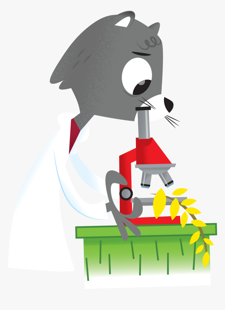 Cartoon, HD Png Download