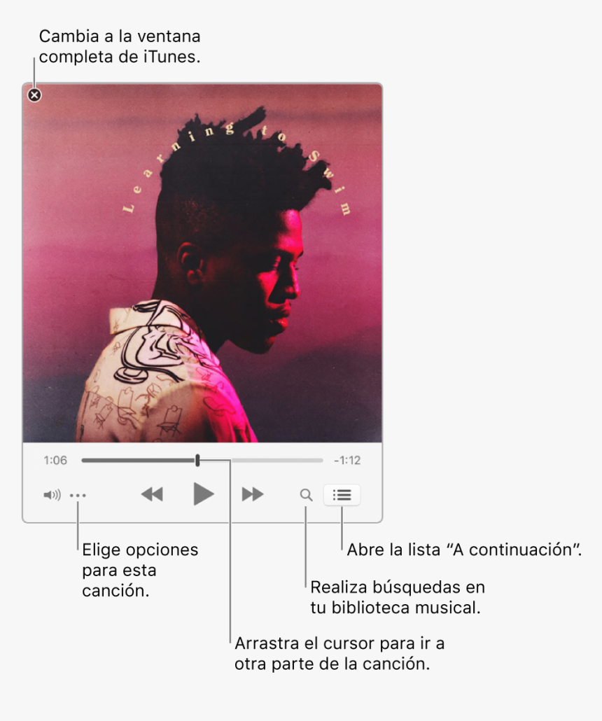 El Mini Reproductor Ampliado Que Muestra Los Controles - Itunes Mini Player Mac Os, HD Png Download