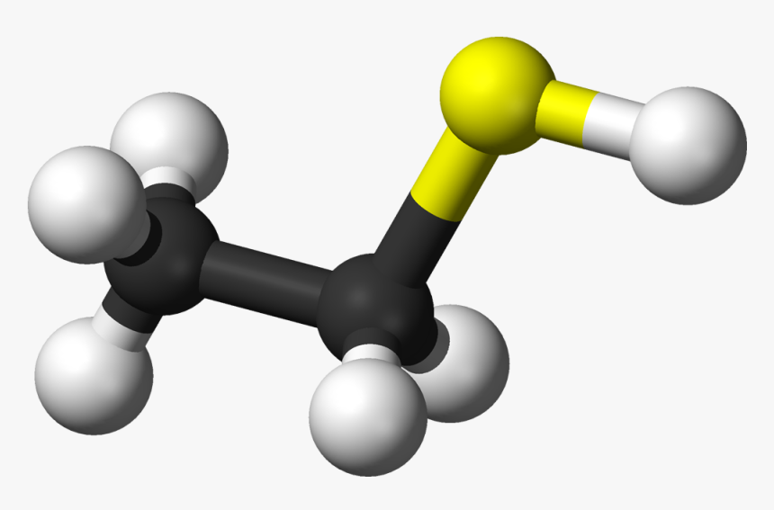 Ball And Stick Model Of The Ethanethiol Molecule - Ethanethiol, HD Png Download