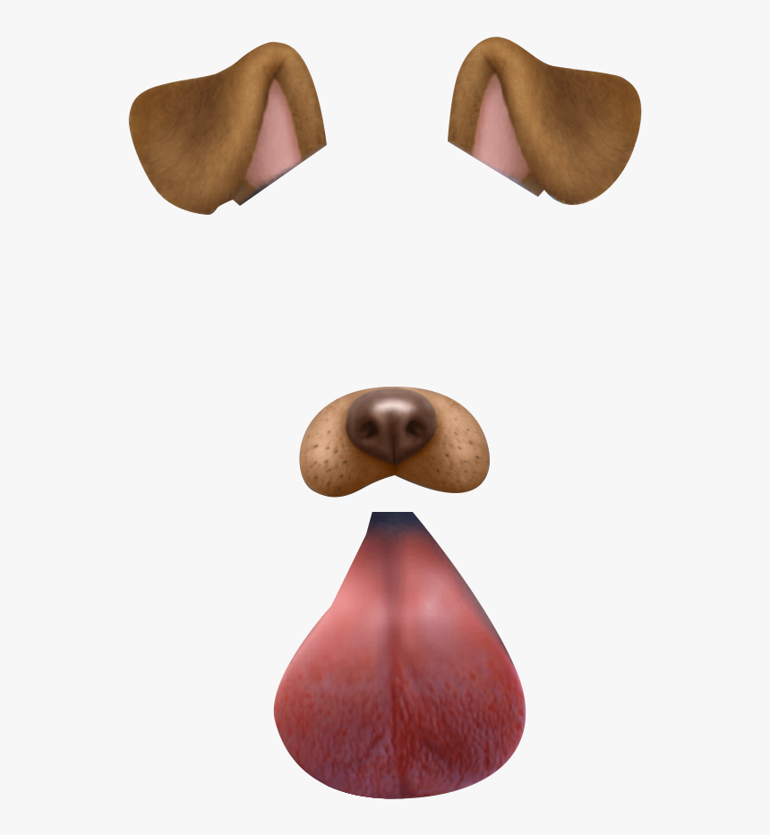 #snapchat #girl #cool #tumblr #perrito🐶💞 #perro #chevere - Snapchat Filter Png, Transparent Png