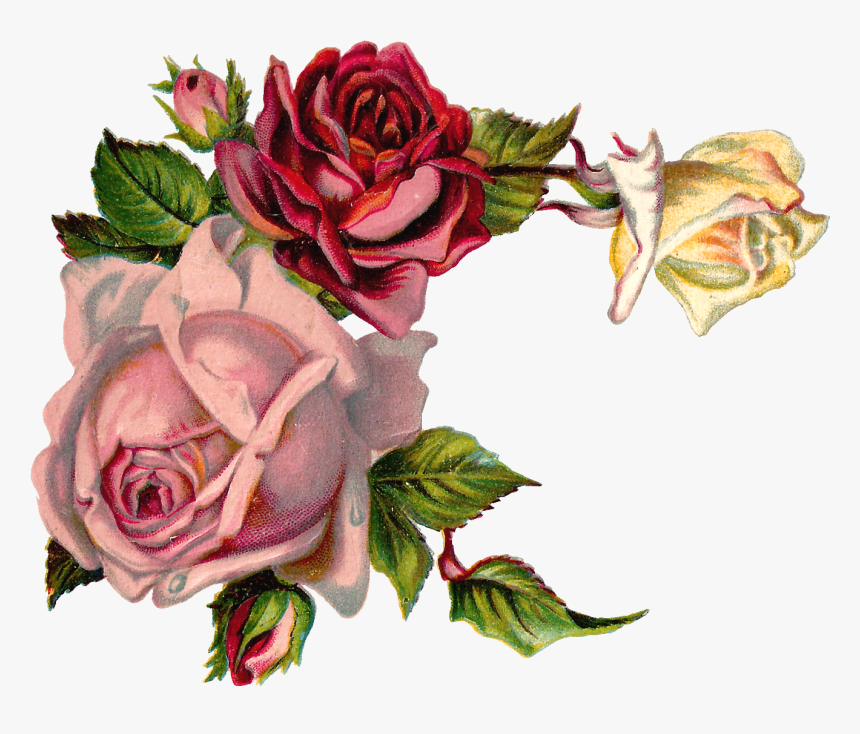 Vintage Flower Graphic Png, Transparent Png