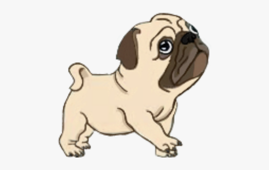 #pug
#puglove
#perrito - Imagenes De Png Perrito Pug, Transparent Png