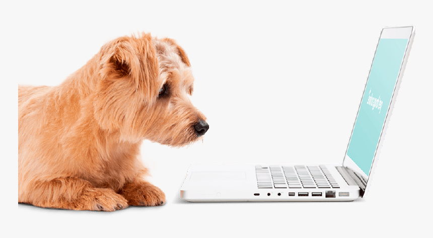Perro Usando Computadora Png, Transparent Png