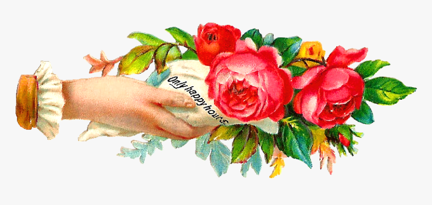 Garden Roses, HD Png Download