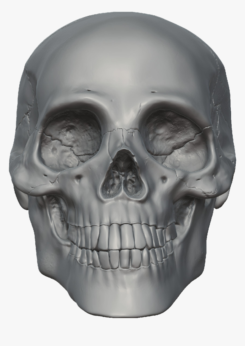 Skeleton Head Free Png Image - Skull 3d Head Png, Transparent Png