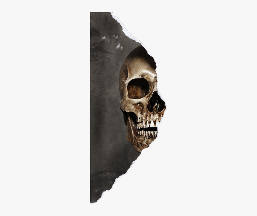 Skull Halfskullface Halfskull Skullface Smokeskull Woman Half Face Skull Hd Png Download Transparent Png Image Pngitem