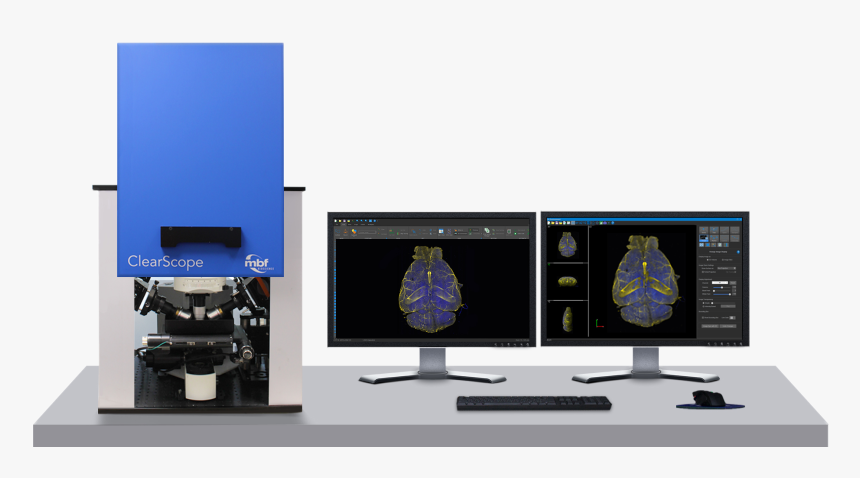 Computer Monitor, HD Png Download