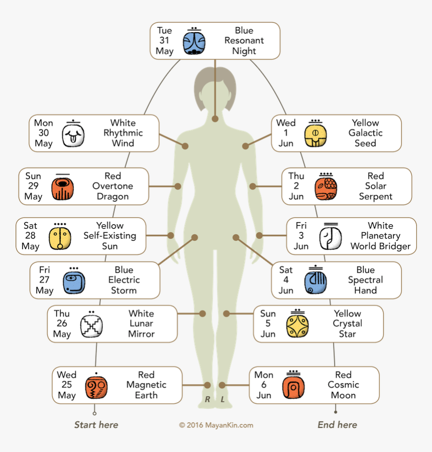 White Mirror Maya, HD Png Download