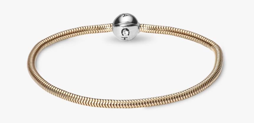 Christina Bracciali, HD Png Download