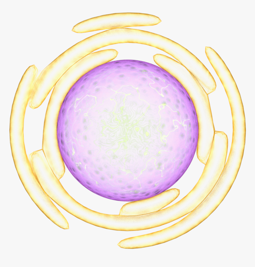 Circle, HD Png Download