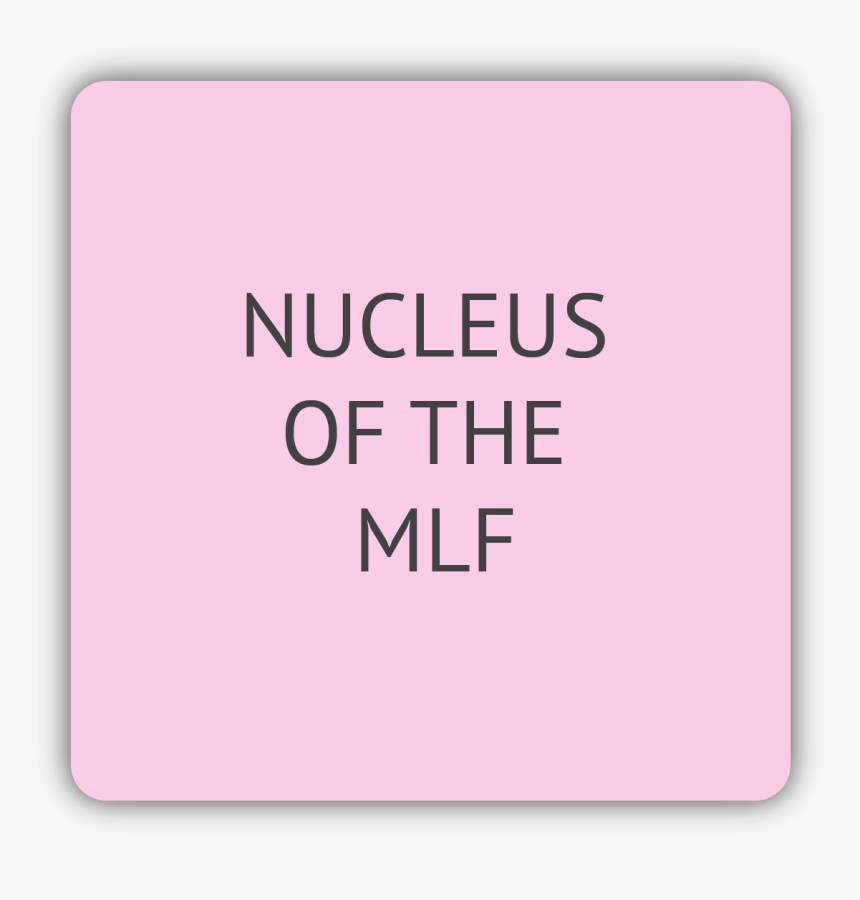 Nucleus Of The Mlf, HD Png Download