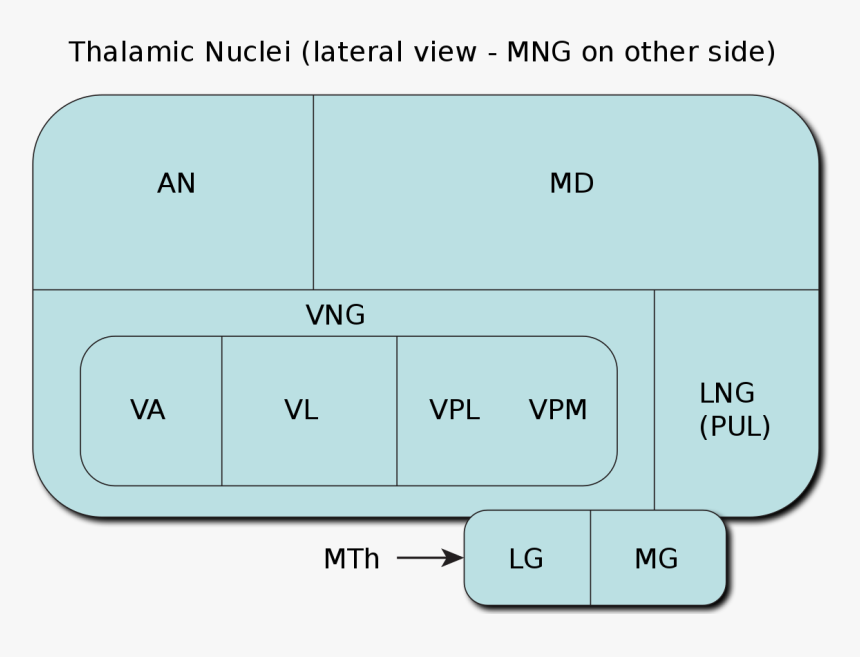 Diagram, HD Png Download