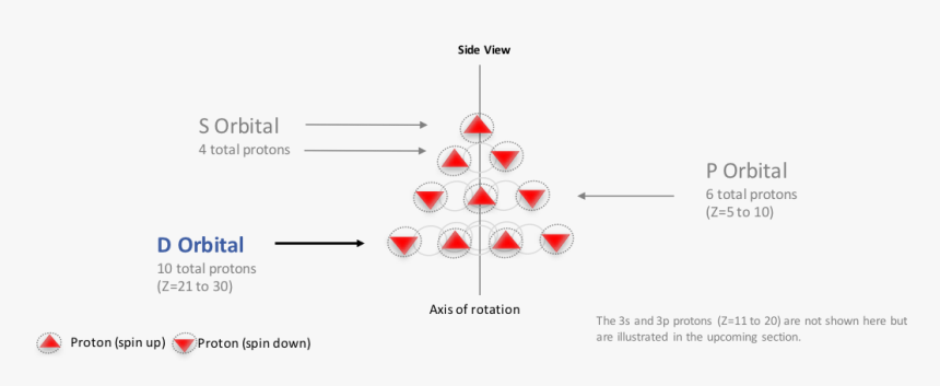 Transparent Cone Shape Png - Christmas Tree, Png Download
