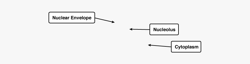 Diagram, HD Png Download