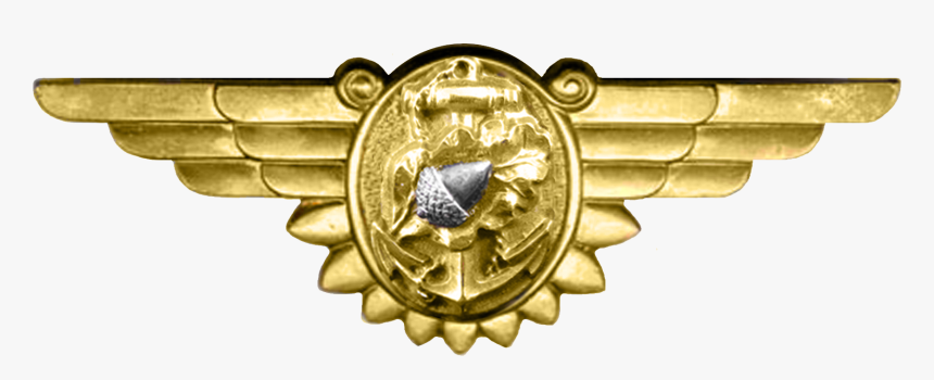 Wwii Naval Flight Nurse Insignia - Ww2 Badge Png, Transparent Png