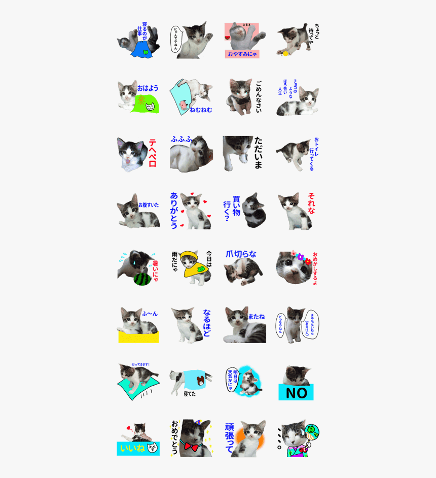 Sticker Of A Kawaii Cat - British Shorthair, HD Png Download