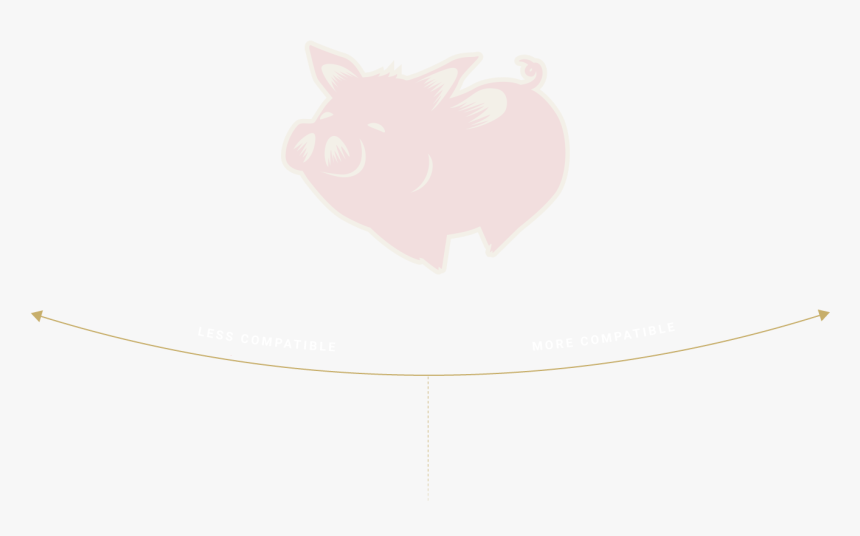 Boar, HD Png Download