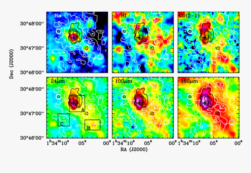 Motif, HD Png Download