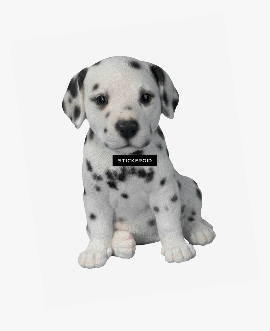 Dalmatian Puppy Pet Pal By Vivid Arts , Png Download - Dalmatian Puppy Png, Transparent Png