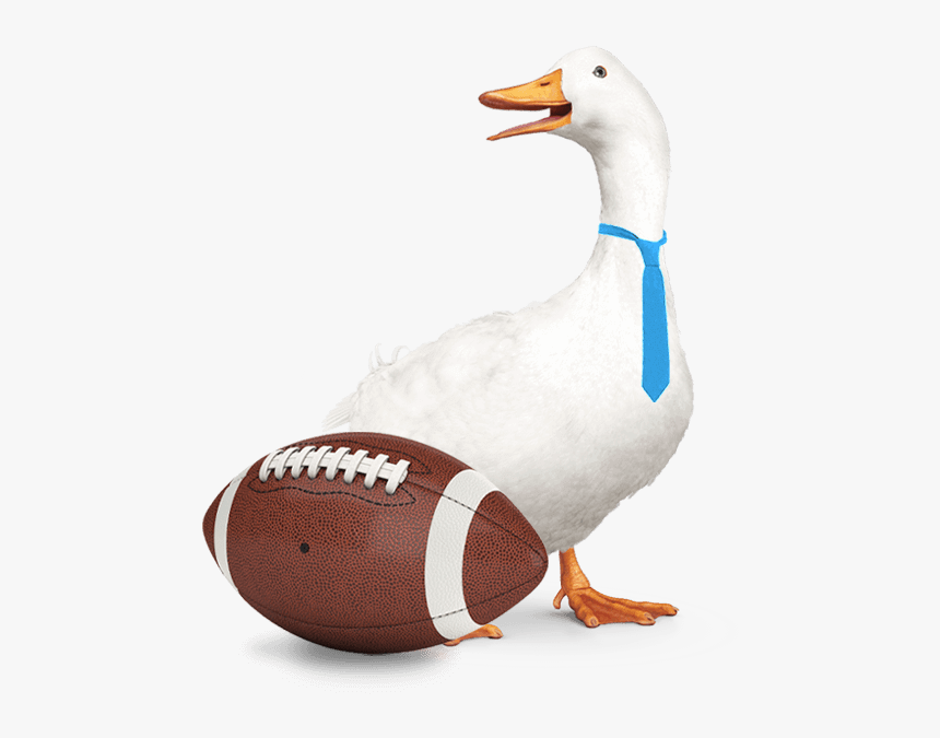 Snow Goose, HD Png Download