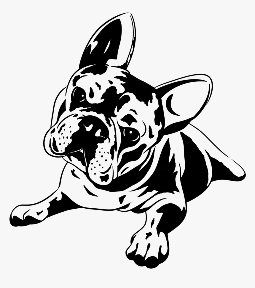 French Bulldog Sketch, HD Png Download