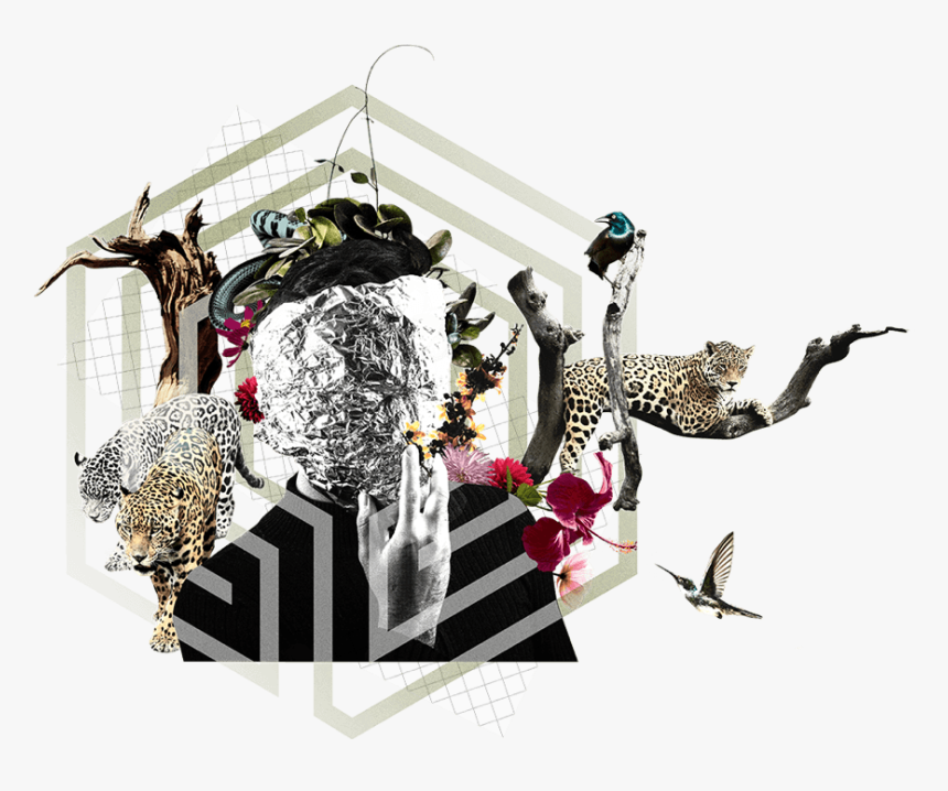 Illustration, HD Png Download