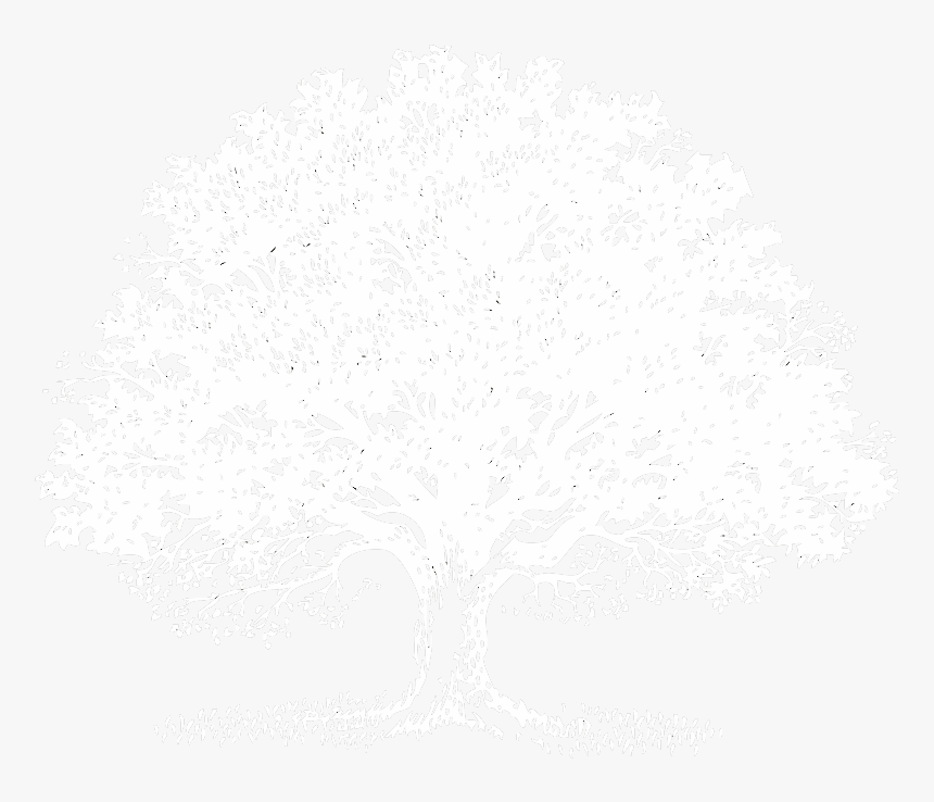 White On Transparent Png Download Memorial Funeral - Celebration Of Life Card Invitation, Png Download