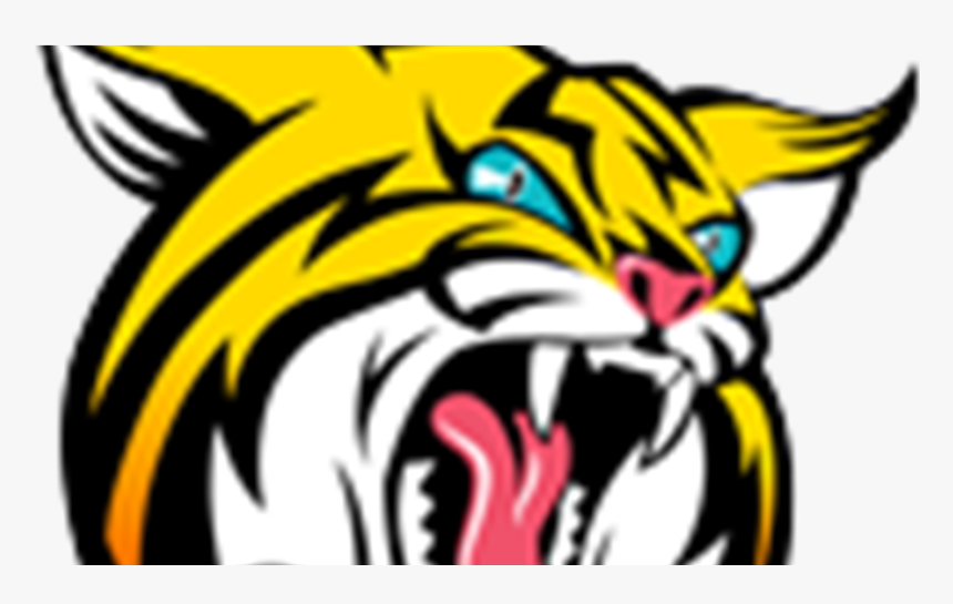 Banner Freeuse Download Bobcat Clipart Tiger - Boca Raton High School Bobcat, HD Png Download