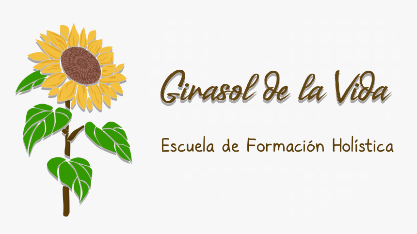 Girasol De La Vida - Sunflower, HD Png Download