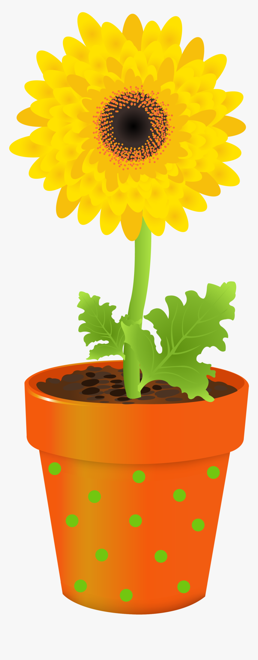 Flower Stock Photography Clip Art Transprent Png - Clip Art, Transparent Png