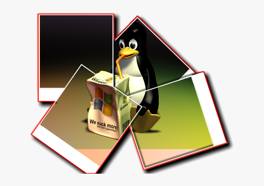 Polaroid Border Png, Transparent Png