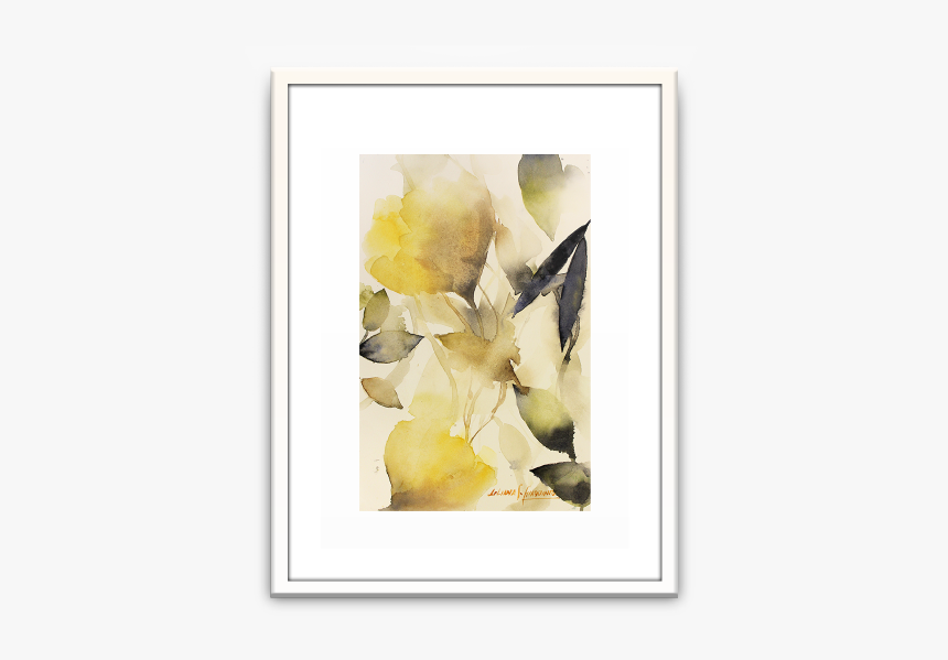 Garden Roses, HD Png Download