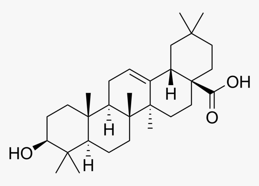 Chemical Structure Of Betulinic Acid, HD Png Download