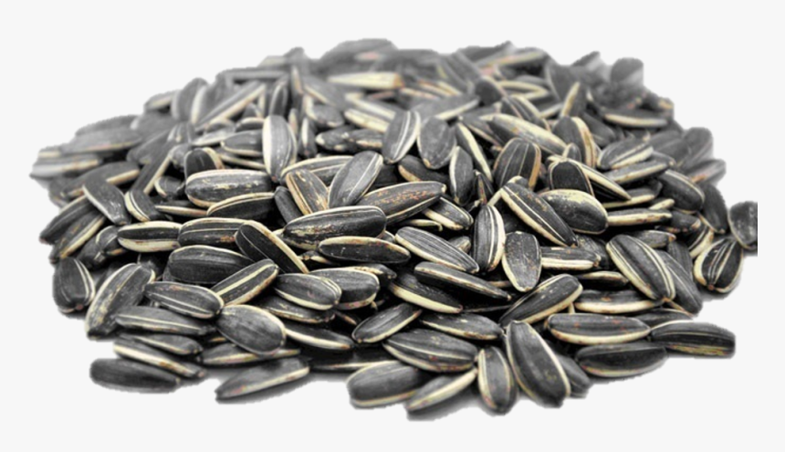Many Calories In Sunflower Seeds, HD Png Download