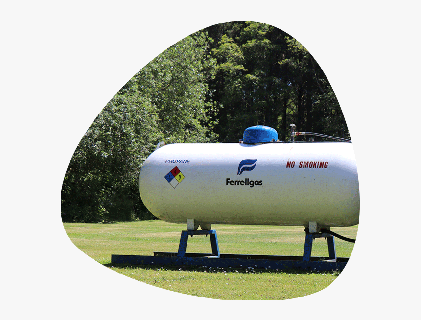 Tree, HD Png Download