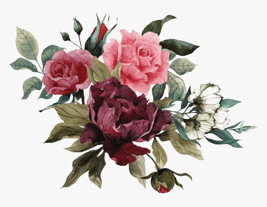Garden Roses, HD Png Download