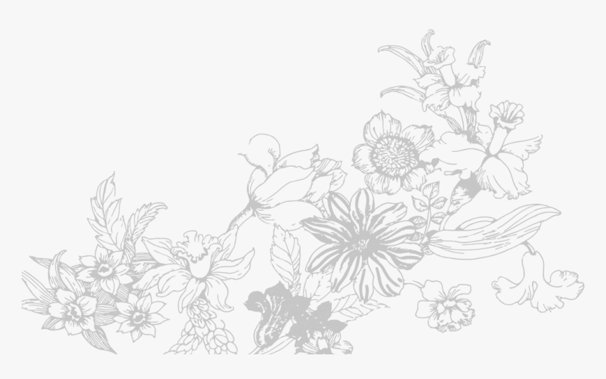 Sketch, HD Png Download