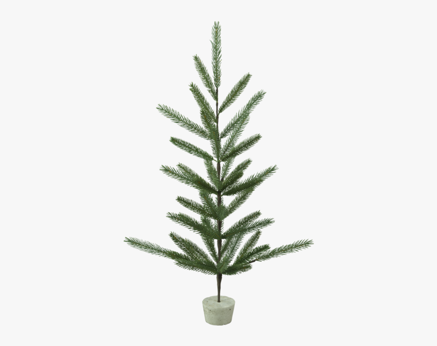 Decorative Tree Boda - Christmas Tree, HD Png Download